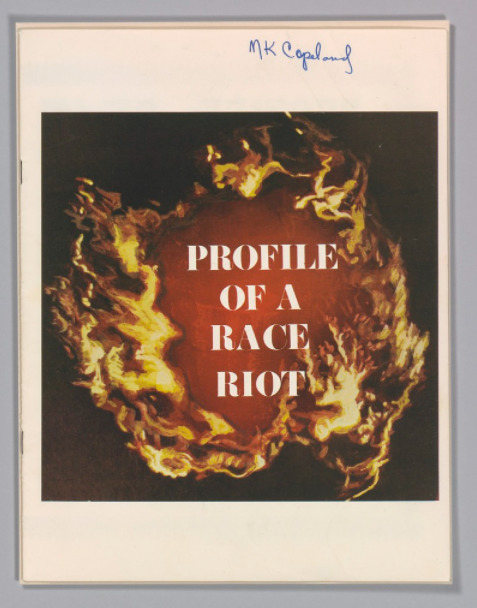 Profile of a Race Riot