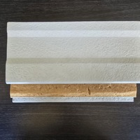 111187 Insulated Metal Wall Panels