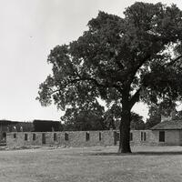 "Fort Washita." Photograph. n.d. From The Gateway to Oklahoma History. https://gateway.okhistory.org/ark:/67531/metadc1586725/m1/1/?q=fort%20washita (accessed February 8, 2024).